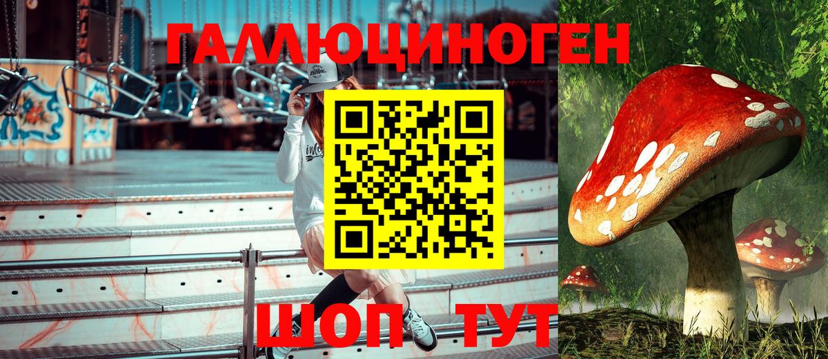 Галлюциногенные грибы прущие грибы  Псилоцибиновые грибы мицелий  Вход с VPN  Симферополь 