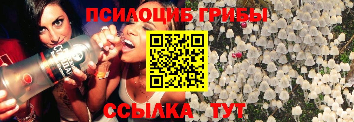 Галлюциногенные грибы GOLDEN TEACHER Симферополь